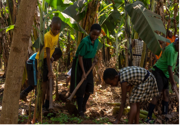 Economic Empowerment